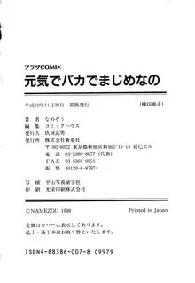 元気でバカでまじめなの, 日本語