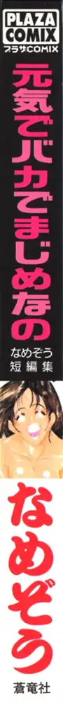 元気でバカでまじめなの, 日本語