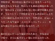 敗北デカパイ学園, 日本語