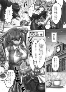 東方ふたなり受け合同誌, 日本語