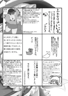 東方ふたなり受け合同誌, 日本語