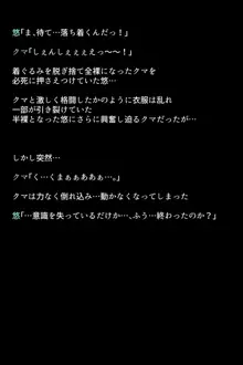 シャドウに弄ばれてしまう女神たち, 日本語