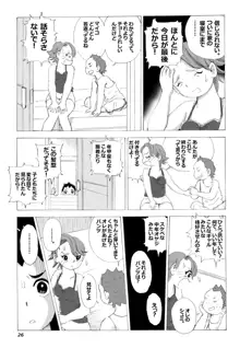 母さんとヤンキーぼうず, 日本語