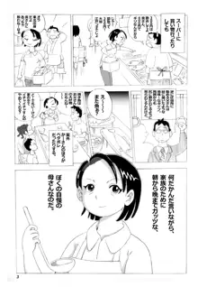 母さんとヤンキーぼうず, 日本語