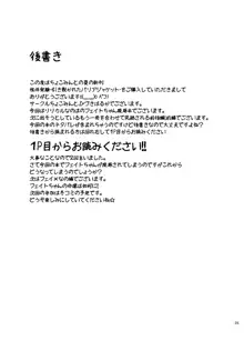 性体実験～引き裂かれたバリアジャケット～, 日本語