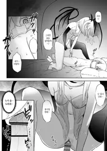 Nakama ni Uragirare Succubus ni Urareta Yuusha-sama no Ohanashi | 동료에게 배신당하고 서큐버스에게 팔려간 용사의 이야기, 한국어