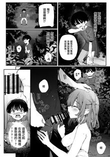 Boku no Natsuyasumi no Omoide, 中文