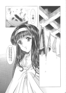 Sakura Ame Wide Ban ~Tomoyo no Nagaiyoru~, 中文