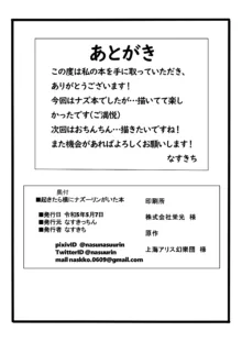 起きたら横にナズーリンがいた本, 日本語