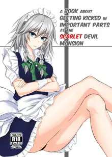 Koumakan de Daiji na Tokoro o Kerareru Hon | A book about getting kicked in important parts at the Scarlet Devil Mansion, English