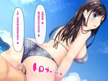 Imouto no Tomodachi to Hitonatsu no Omoide（甜族星人【伪】赞助+张佳乐个人汉化）, 中文