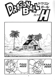 DragonBall H Maki San, English