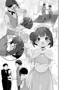 Komomo wa Goshujinsama Senyo no Ryoana Nikubenki Loli Maid, 中文