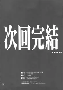 なのだっ!!!!! + おまけ本, 日本語