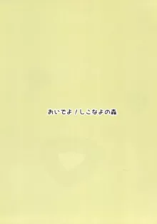 こどもじゃないのんっ!, 日本語