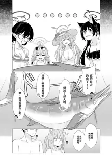 Daily Shiroko Summer Notes (decensored), 中文