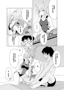 Daily Shiroko Summer Notes (decensored), 中文