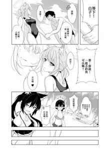 Daily Shiroko Summer Notes (decensored), 中文