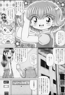 くるくるロコちゃん, 日本語