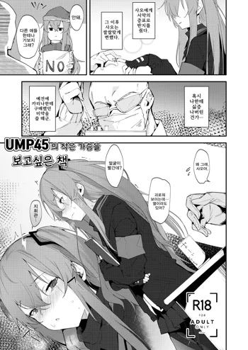 UMP45 no Chippai ga ***** naru Hon | UMP45의 작은 가슴을 보고 싶은 책, 한국어