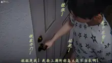 宠物捕捉大师29, 中文