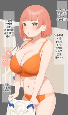 Sakura Chan Shuu, 한국어