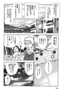 メルティ・ムーン 虚月編, 日本語