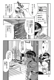 メルティ・ムーン 虚月編, 日本語