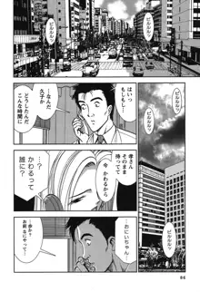 メルティ・ムーン 虚月編, 日本語