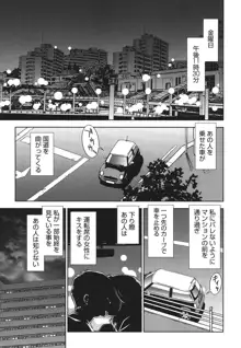 背徳の迷宮, 日本語