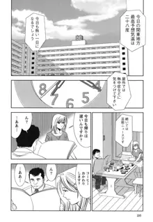 背徳の迷宮, 日本語