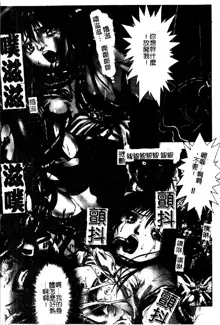 Tokyo Requiem Ch. 1-10, 中文