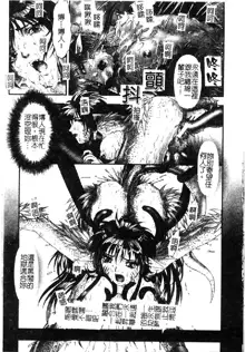 Tokyo Requiem Ch. 1-10, 中文