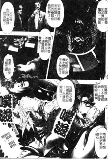 Tokyo Requiem Ch. 1-10, 中文