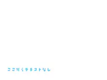 どこからどうみても攻略対象外なNPCと子作りお嫁さんH～やたらスキンシップ激しいクエスト依頼主編～, 日本語