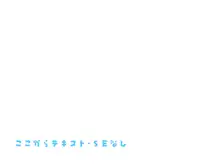 どこからどうみても攻略対象外なNPCと子作りお嫁さんH～やたらスキンシップ激しいクエスト依頼主編～, 日本語