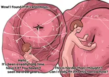 Exploration of the mother's uterus, English