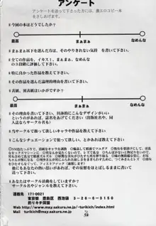 Non・Dema-R 十手編, 日本語