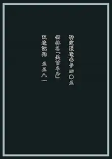 美甘ネル 改造記録 File.04, 日本語