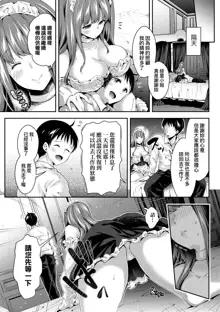 Harem Maid no Damedame Ecchi (decensored), 中文