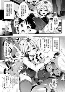 Harem Maid no Damedame Ecchi (decensored), 中文