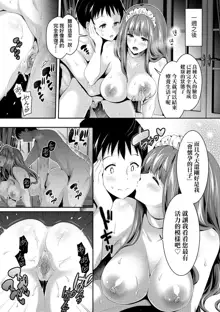 Harem Maid no Damedame Ecchi (decensored), 中文