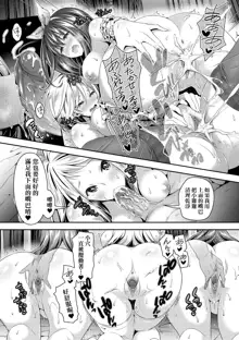 Harem Maid no Damedame Ecchi (decensored), 中文