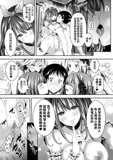 Harem Maid no Damedame Ecchi (decensored), 中文