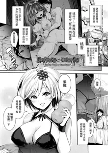 Harem Maid no Damedame Ecchi (decensored), 中文