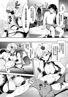 Harem Maid no Damedame Ecchi (decensored), 中文