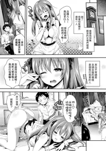 Harem Maid no Damedame Ecchi (decensored), 中文