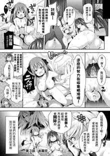 Harem Maid no Damedame Ecchi (decensored), 中文