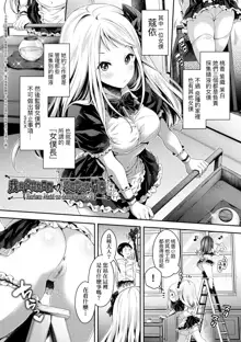 Harem Maid no Damedame Ecchi (decensored), 中文