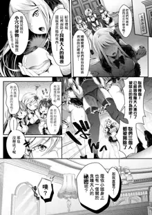 Harem Maid no Damedame Ecchi (decensored), 中文